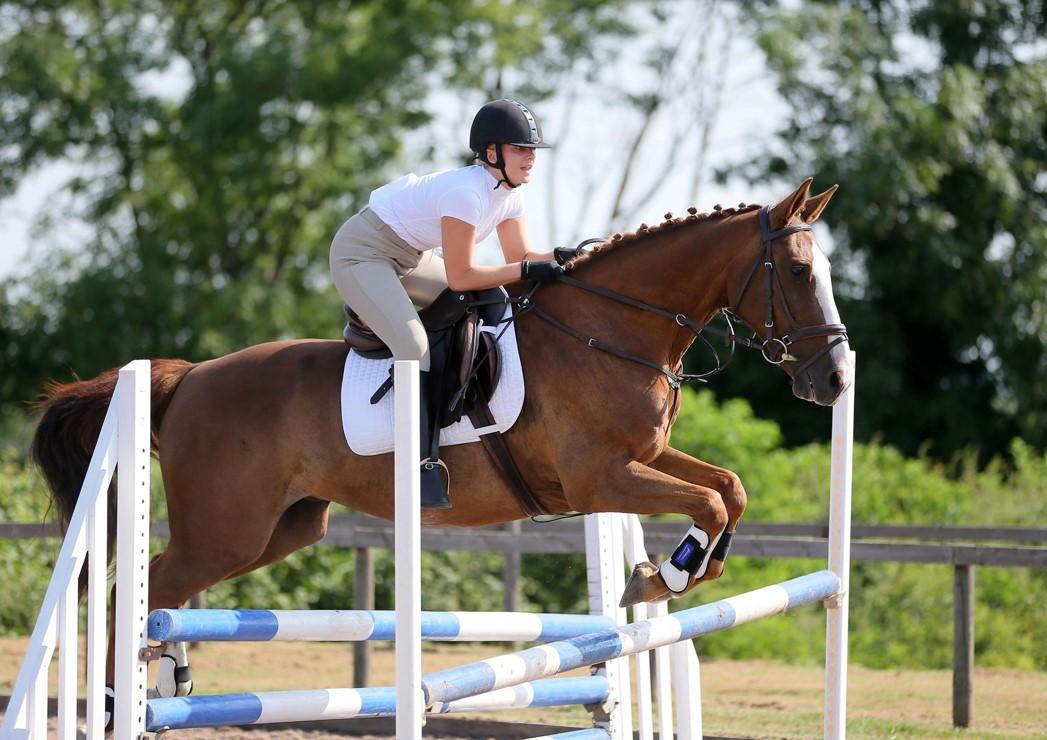 You and Your Horse selfie project Malton Museum