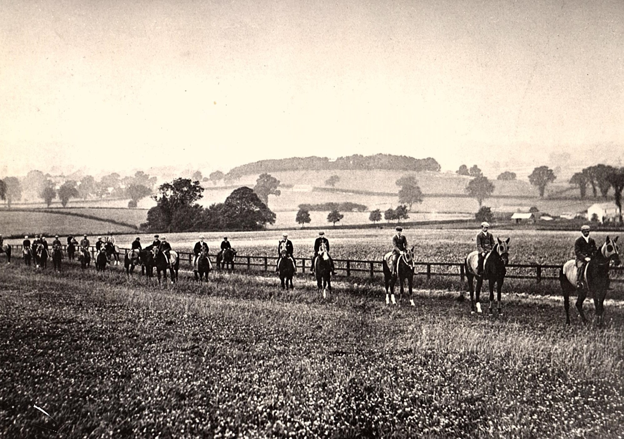 Malton Horse Power Town Tour The Hidden History of the Horse in Malton