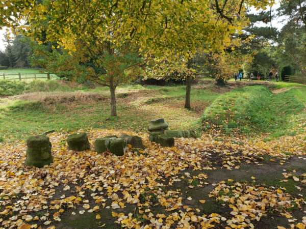 An autumnal scene showing ruined columns, grass banks, and a lawned area with two small trees - fallen leaves are scttered across this scene