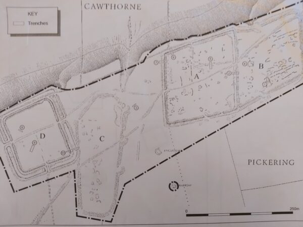 A greyscale illustration of Cawthorn Camps showing a steep bank to the northern edge - there is a perimeter line highlighting the extent of these excavations - the site is in excess of 750m in length from South West to North East - each excavation is similar in size - these are labelled from West to East as follows: site D (square), site C (coffin-shaped), site A (rhombus), and site B (irregular rhombus)