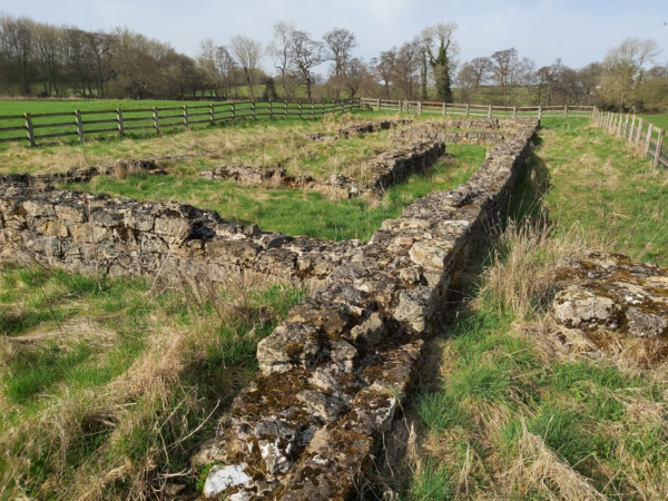 A colour photo showing extensive walls from Beadlam Villa surrounded by a wooden fence - some sections of wall are complete up to a fourth course - there is rough grass within and immeditely around these ruins - beyond this fencing there is well maintained grass bank area surrounded by trees