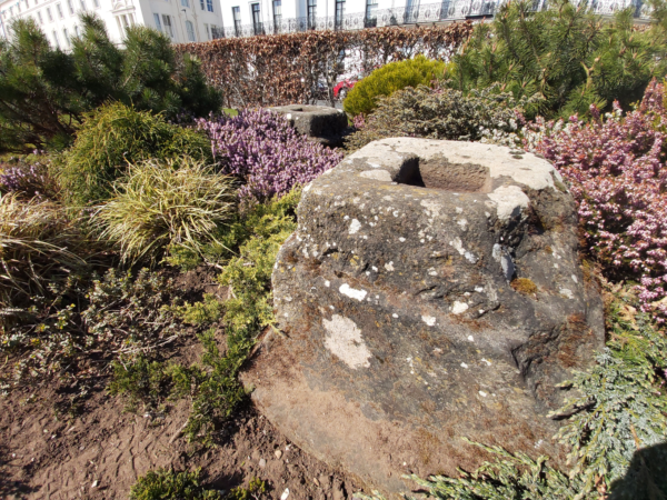 A colour photo showing a busy border full of perennial shrubs - in the foreground there is a close up view of a socketed stone, with a second socketed stone in the background - beyond this there is a beach hedge through which there is a street with terraced buildings, and a few glimpses of parked cars