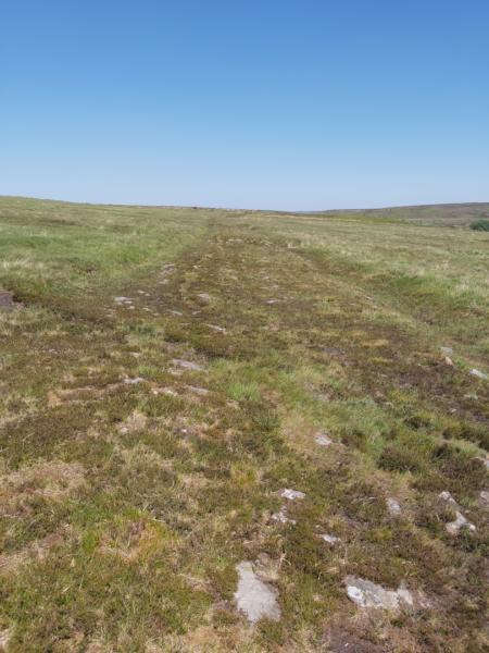 A colour photo showing stoney ground heading away across a stretch of moorland