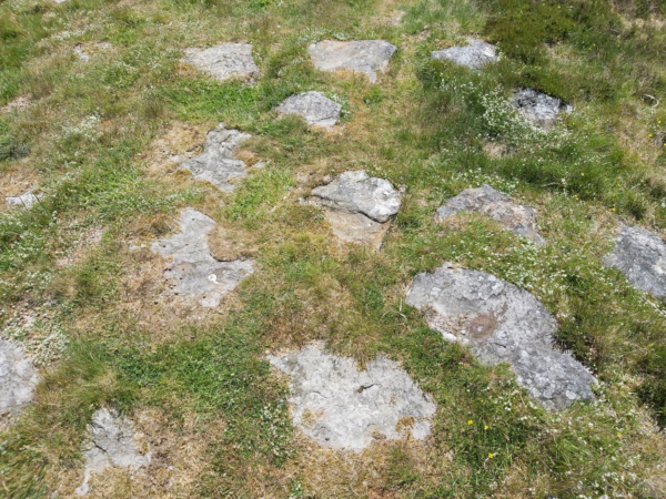 A series of large stones set into dry grassy ground - these resemble stepping stones