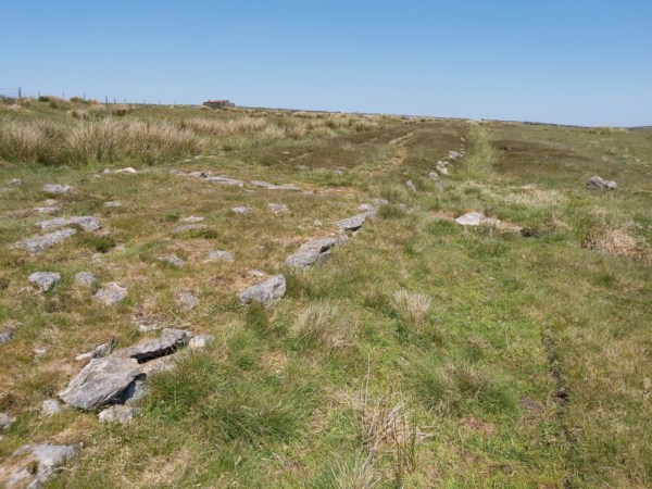 A colour photo showing a line of kerbstones - there is short grass on the right hand side, and much thick tussock grasss on the left - in the distance there is a small single-story building on the horizon, and a fence line leading away to the left