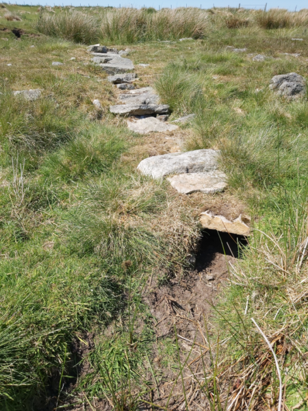 A culvert running along the grassland of Wheeldale Moor, capped with large stones - parts of this culvert have collapsed slightly - at the top there are lots of large clumps of tussock grass