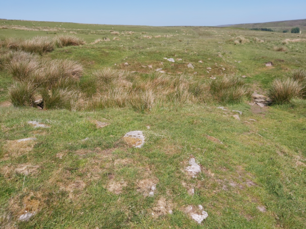 A colour photo showing a large area of grassland on Wheeldale Moor - a hollow patch with tussocks grass growing within it in cuts across this photo - on either side there are some large stones visible through the dry grass - on the far side there is a clearly defined rectangular area of dry grass