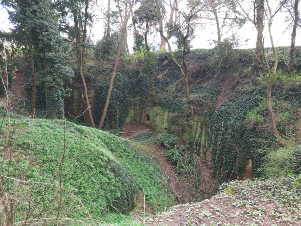 A colour photo showing a disused quarry with mature trees within and around this site - a lot of the ground is overgrown - this quarry has irregular and significantly large embankments within it